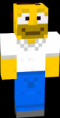 /album/skins/nsfia-png/